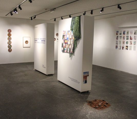 Sofía Moreno Domínguez – ‘Creciendo entre grietas’