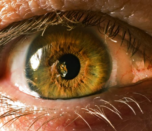 Alfonso Grau – ‘Retratos Musicales SONG RAU’