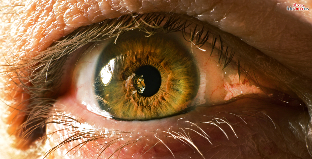 Alfonso Grau – ‘Retratos Musicales SONG RAU’https://www.exibart.es/repository/media/formidable/11/img/2b7/SONGRAU-Foto3.jpgkl_.jpg