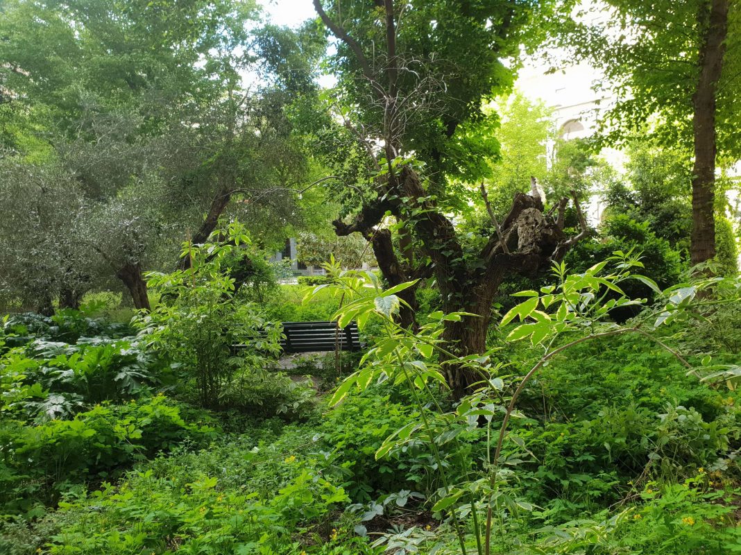 ‘< Jardín de las mixturas. Tentativas de hacer lugar, 1995 -… >‘ – Alejandra Rierahttps://www.exibart.es/repository/media/formidable/11/img/620/08_JARD__N_DE_LAS_MIXTURAS-1068x800.jpg