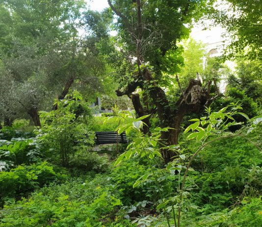 ‘< Jardín de las mixturas. Tentativas de hacer lugar, 1995 -… >‘ – Alejandra Riera