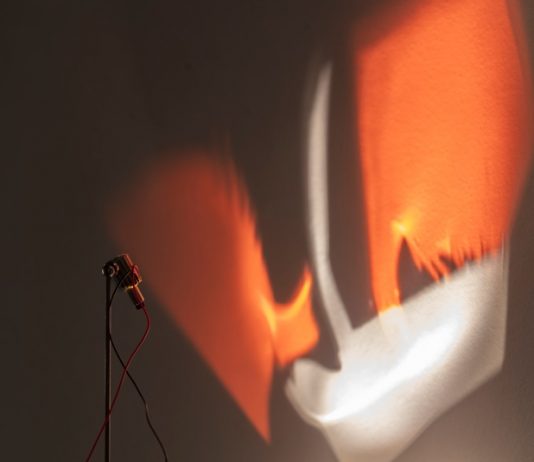 Antoni Arola. ‘Reflexions Micra’