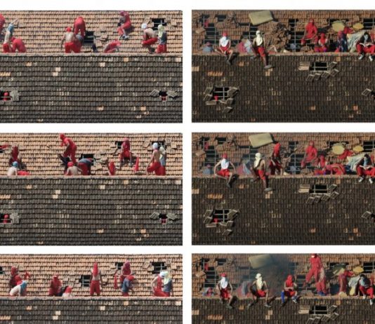 Cinthia Marcelle. Una conjunción de factores