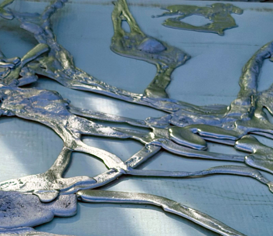 Carlos Irijalba – ‘Love That Bird’