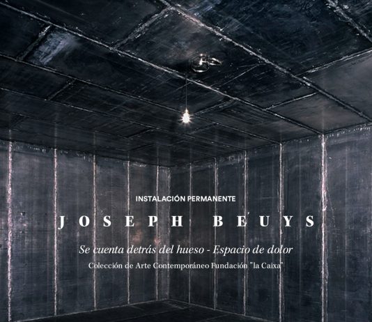Hinter dem Knochen wird gezählt – Schmerzraum, Joseph Beuys