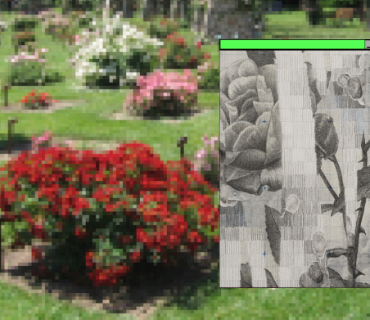 Acción deslocalizada Dibujo i picnic con Adrià Gamero Casellas