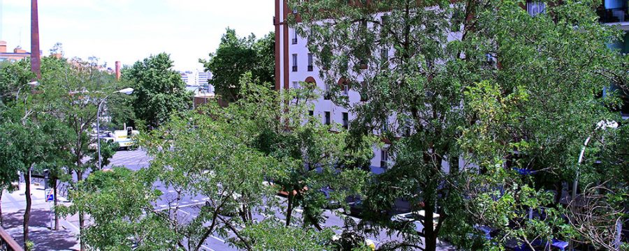 Felipa Manuela – residencias de investigación